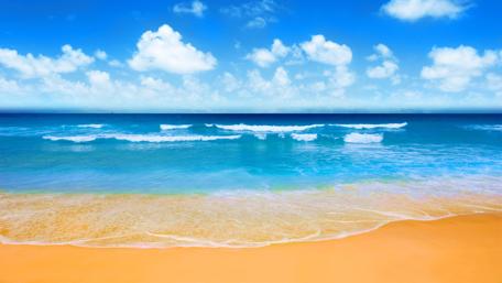 Tranquil Shoreline Under Blue Skies wallpaper