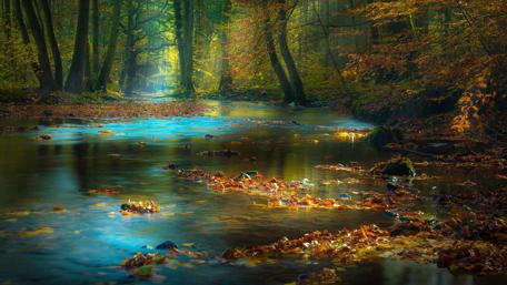 Tranquil Autumn Forest Reflection wallpaper