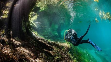 The Enchanted Underwater Realm wallpaper