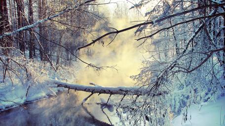 Winter Morning by the Steaming Lake wallpaper