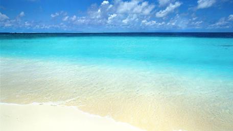 Tranquil Paradise by the Shore wallpaper