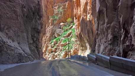 Majestic Cliffside Roadway in Nature's Embrace wallpaper