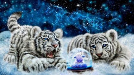 Glittering Night with Playful Tigers wallpaper