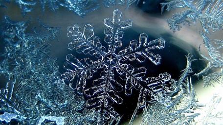 Intricate Frosty Patterns of Winter wallpaper