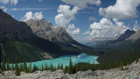 Serenity by the Mountain Lake wallpaper