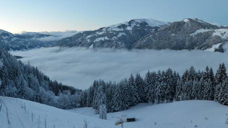 Serene Winter Landscape with Snowy Mountains and Forests wallpaper