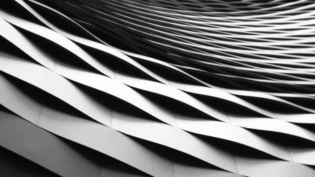 Dynamic Curves in Monochrome Design wallpaper