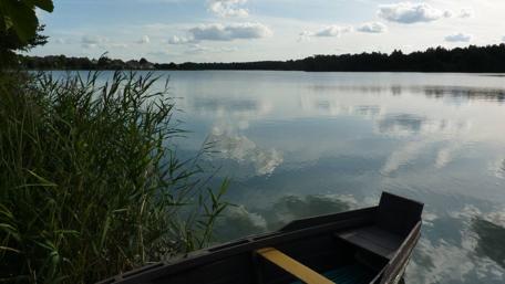 Tranquil Lake View with Boat and Lush Reeds wallpaper