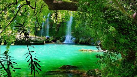 Lush Serenity Surrounding a Tranquil Waterfall wallpaper