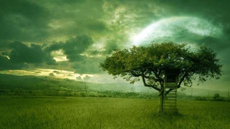 Whispers of a Dreamy Landscape wallpaper