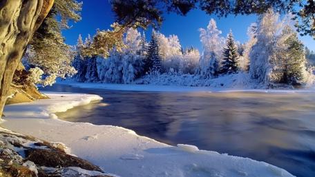 Winter's Frozen Embrace at Riverbank wallpaper