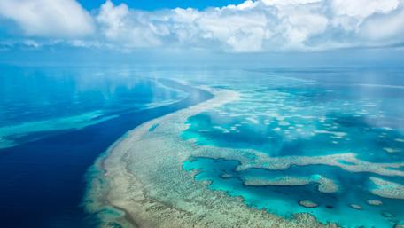 Tranquil Ocean View with Coral Reef wallpaper