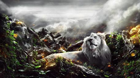Majestic White Lion of the Wild wallpaper