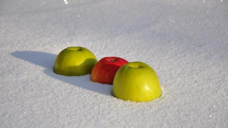Apples in Winter Wonderland wallpaper