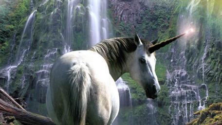 Unicorn's Dreamland Oasis wallpaper
