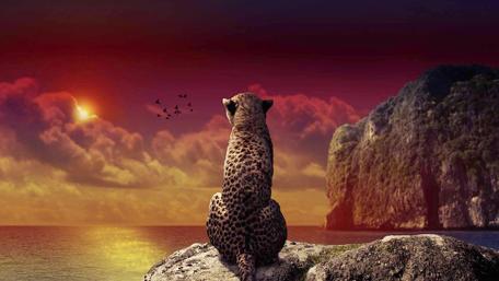 Majestic Sunset Dreamscape wallpaper