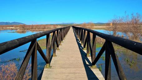 Peaceful Lagoon Walkway Among Nature's Beauty wallpaper