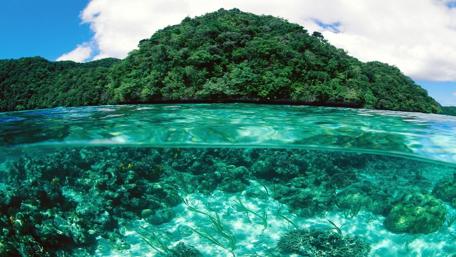 Tranquil Waters Under a Lush Island View wallpaper