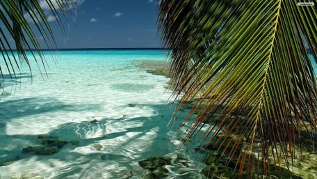 Tranquil Tropical Paradise wallpaper