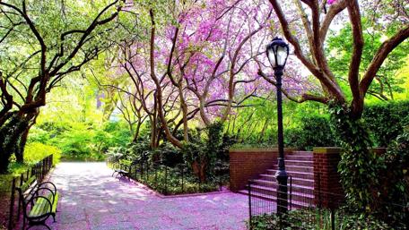 Enchanted Springtime Park Evening wallpaper