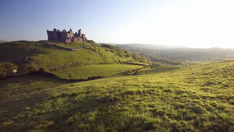 Ancient Ruins Amidst Nature's Embrace wallpaper