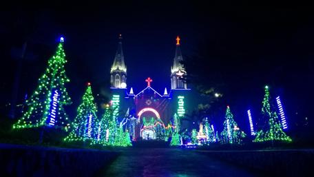 Festive Night Lights Shine Brightly wallpaper