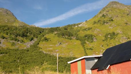 Serene Norwegian Hills in Summer Light wallpaper