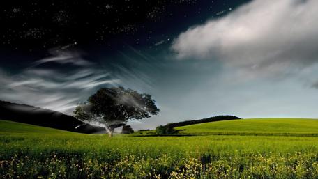 Whispers of Nature's Breeze wallpaper
