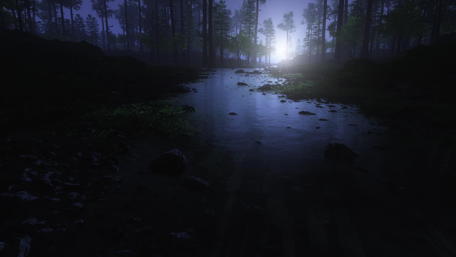 Twilight Forest Moonlit Creek wallpaper