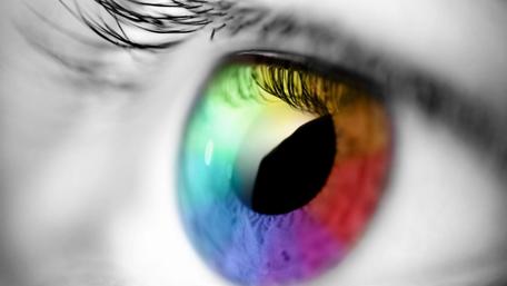 Spectrum Vision: A Colorful Insight wallpaper
