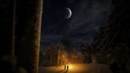 Whispers of the Moonlit Forest wallpaper