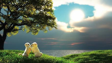 Playful Puppies Under a Dreamy Sky wallpaper