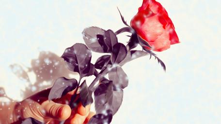 Elegant Gesture of Love wallpaper