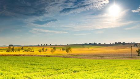 Golden Fields Under a Bright Spring Sky wallpaper