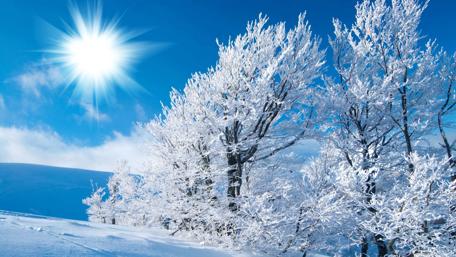 Blue Winter Wonderland wallpaper