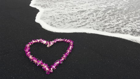Heart of Flowers by the Sea wallpaper