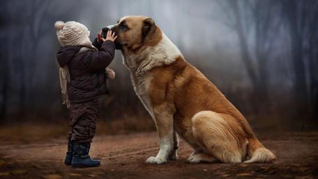 Best Friends Forever wallpaper
