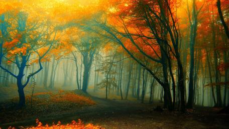 Whispers of Autumn in a Misty Forest Overshadowed by Twilight wallpaper