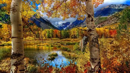 Autumn Serenity in Nature's Embrace wallpaper