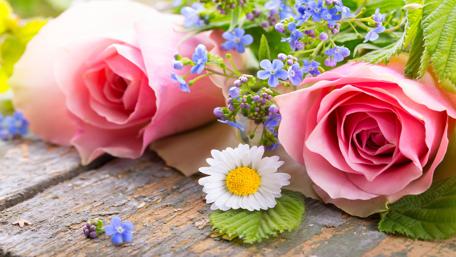 Elegant Roses and Camomiles Bouquet wallpaper