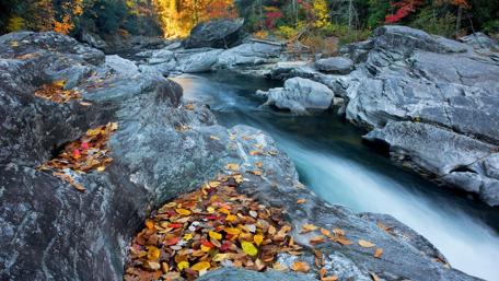Autumn leaves on the rocks wallpaper
