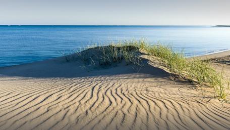 Serene Seashore Bliss wallpaper
