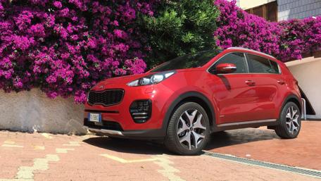 Vibrant Red KIA Sportage GT Line Among Blossoms wallpaper