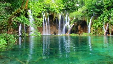 Serene Waterfall Oasis wallpaper