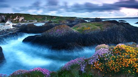 Misty Coastal Serenity wallpaper