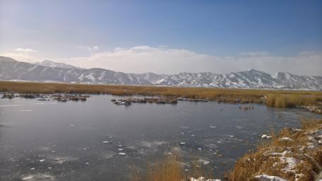 Winter Serenity by the Frozen Lake wallpaper