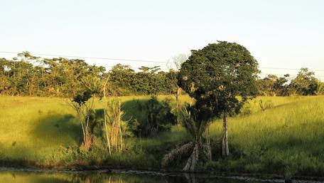 Tranquil Reflection of Nature's Beauty in the Wild wallpaper