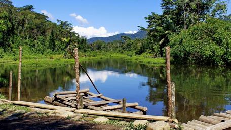 Tranquil Forest Lake Escape wallpaper