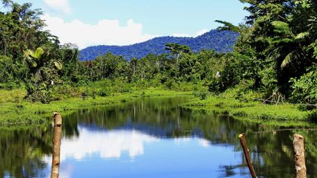 Tranquil River Surrounded by Lush Mountains and Forests wallpaper