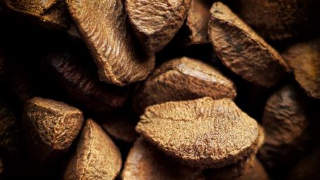 Earthy Textures of Nature's Bounty wallpaper